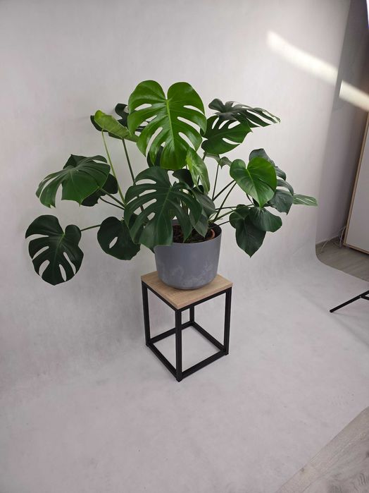 Kwietnik spawany loft masywny duży blat 30x30 stojący stojak na donice