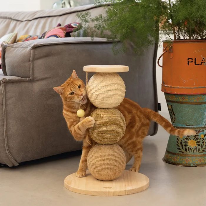 Penelope Drapak dla Kota Ciemnoszary 55x40x116cm Używany DUŻY