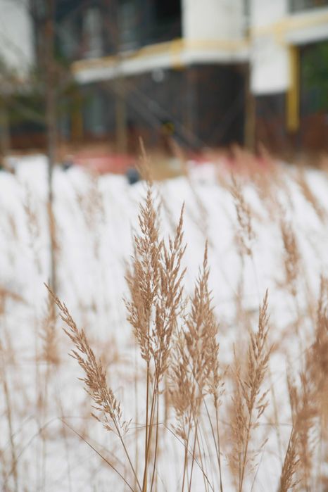 Продаж 2-к квартири в ЖК Синергія Сіті. Офіційний забудовник