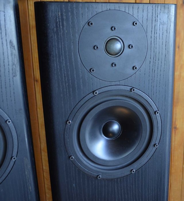 TMR 2a Berlin Bi-Wire Kolumny podłogowe  z lat `80-tych Audiofilskie Dwudrożne