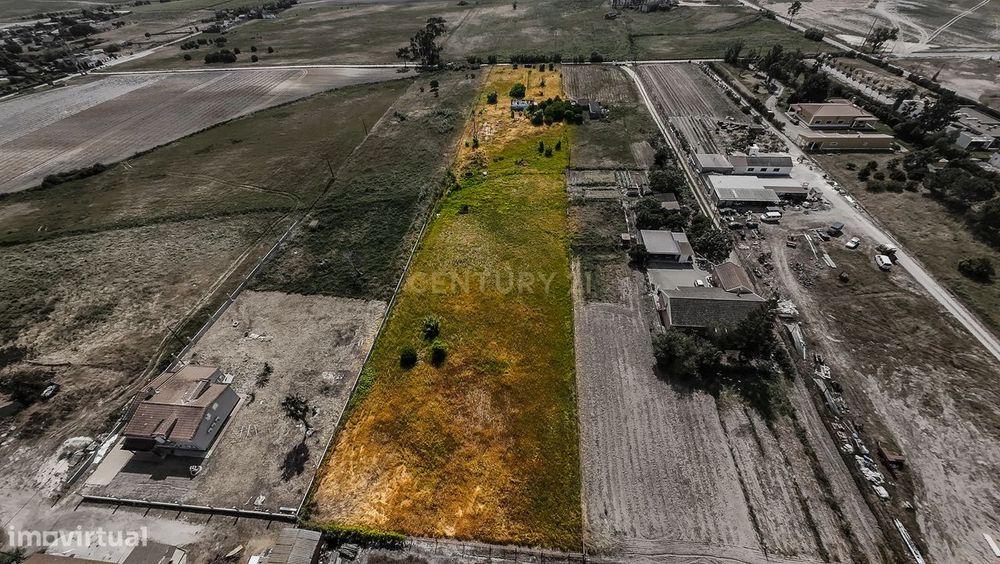 Herdade em Pegões - Foros do Trapo