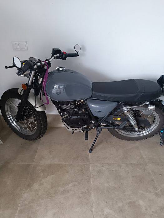 Mota  Mutt muito bem estimada