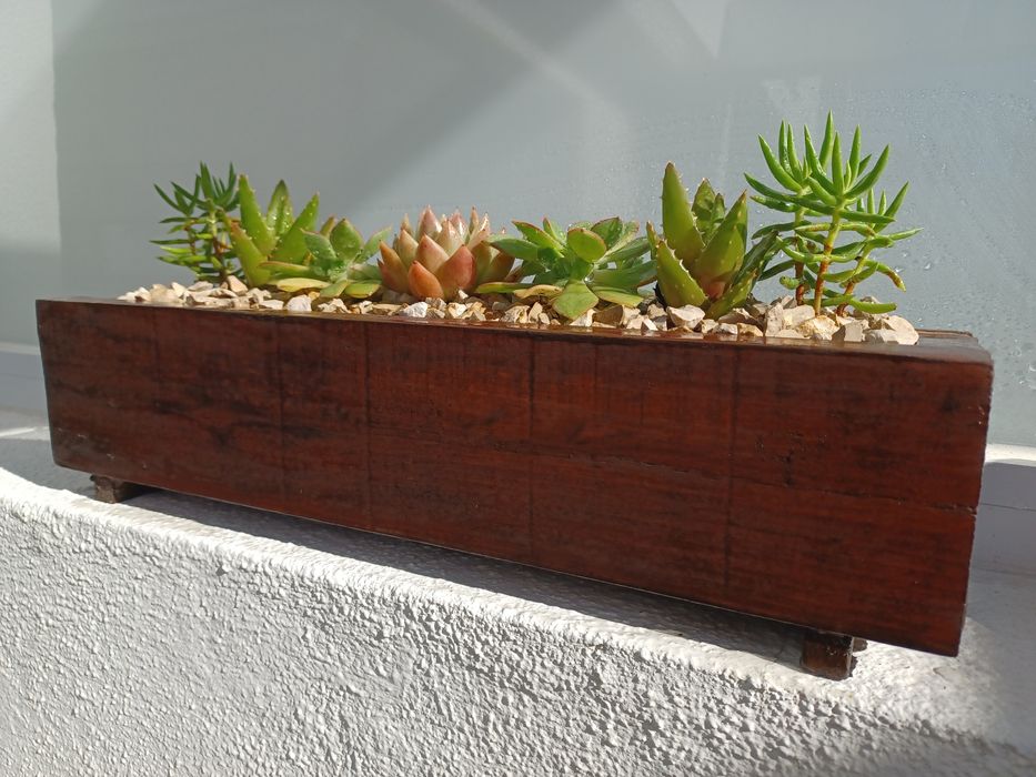 Vaso de madeira com 7 cactos – ideal para muros, janelas ou varandas