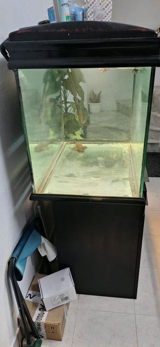 Aquario de 200 litros