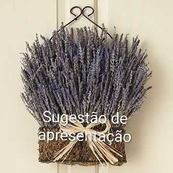 Ramo de lavanda natural 500 pés