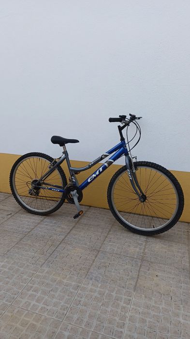 Bicicleta Feminina