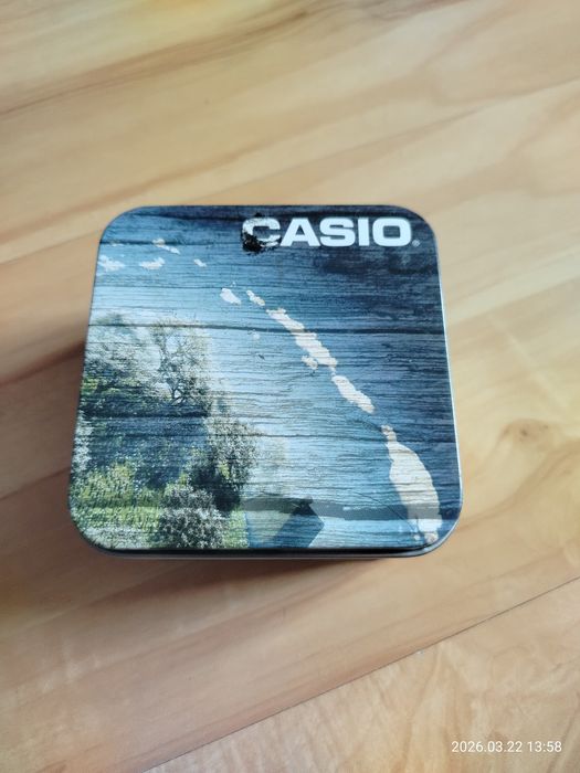 Zegarek Casio DW291H