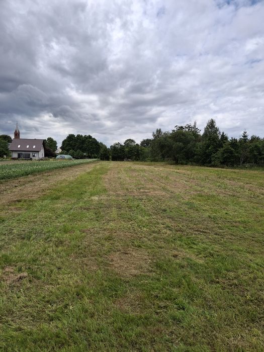 Czyszczenie działek rekultywacja koszenie ładowarka koparka transport