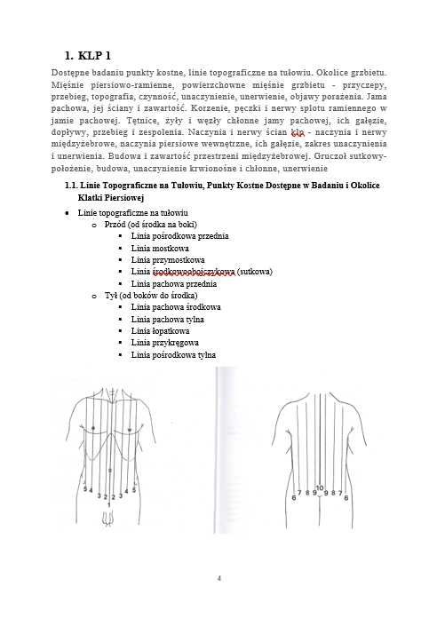 Notatki Anatomia WUM Lekarski