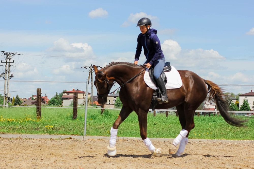 Jazda konna.Treningi sportowe.