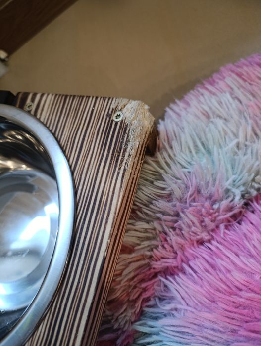 Miski na stelażu i legowisko