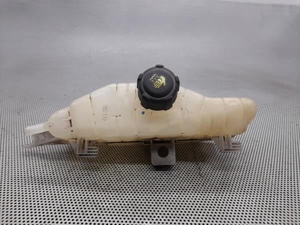 Vaso Expansao / Radiador RENAULT Clio III (BR0/1, CR0/1)