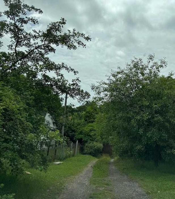 Ділянка 10 сот, біля лісу, с Круглик, електрика по вул. Великий вибір!