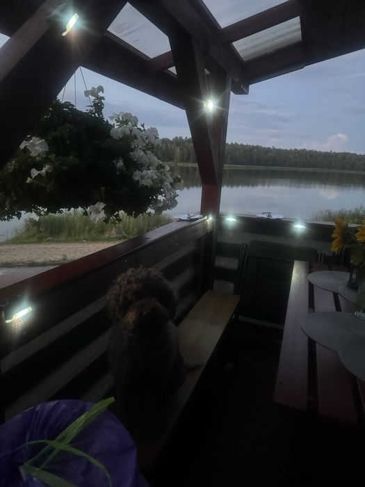 Letniskowy domek do wynajęcia na rok 2026