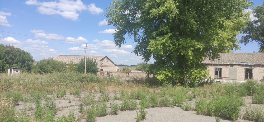 Земельный участок 1.46Га (Ферма)