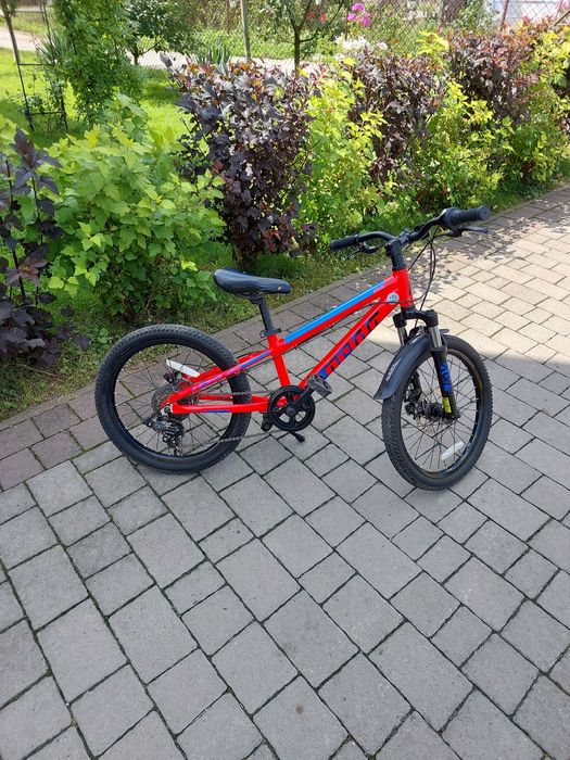 Дитячий велосипед на 20 колесах