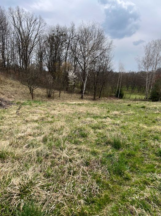 Продаж! Два будинки в жилому стані + гараж