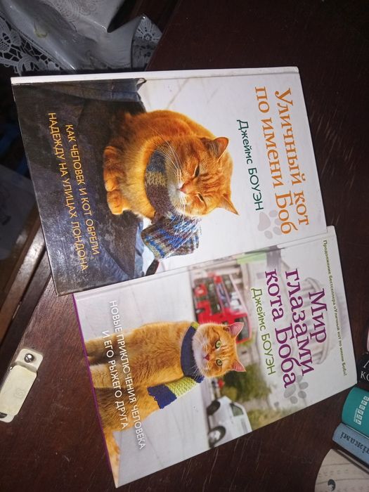 Набір книг Уличный кот по имени Боб