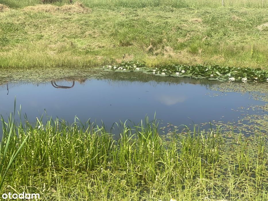 Działka budowlana 1500 m² w relaksacyjnym miejscu 10 km od Suwałk.