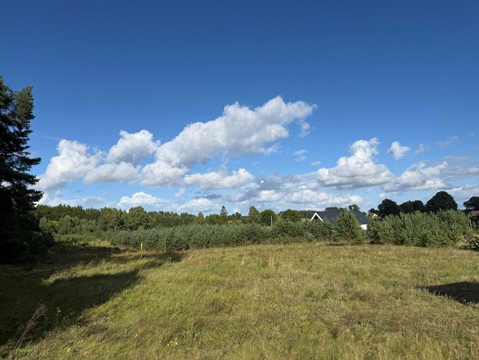 Działka budowlana Bojano 1849 m² - Widok 2