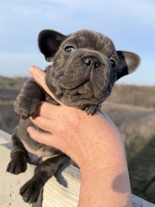 Суперовий блакитний хлопчик