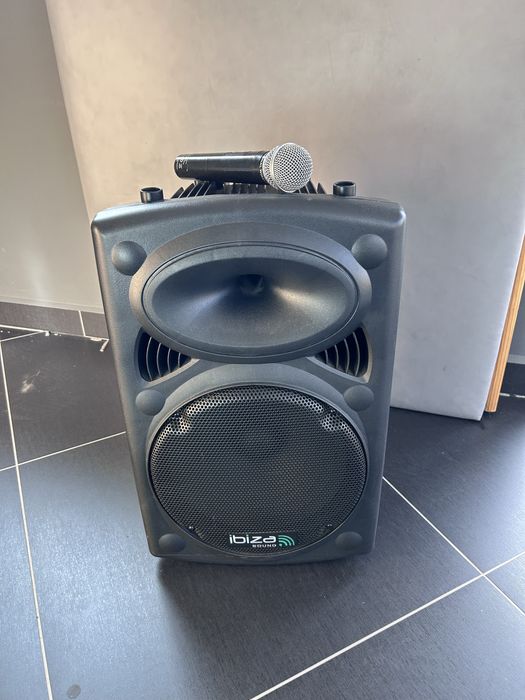 Głośnik ibiza z mikrofonem