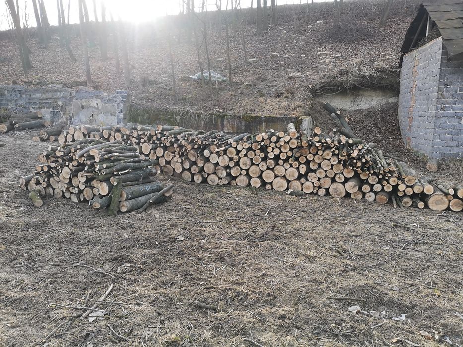 Sprzedam drzewo, drewno opałowe - jesion, klon