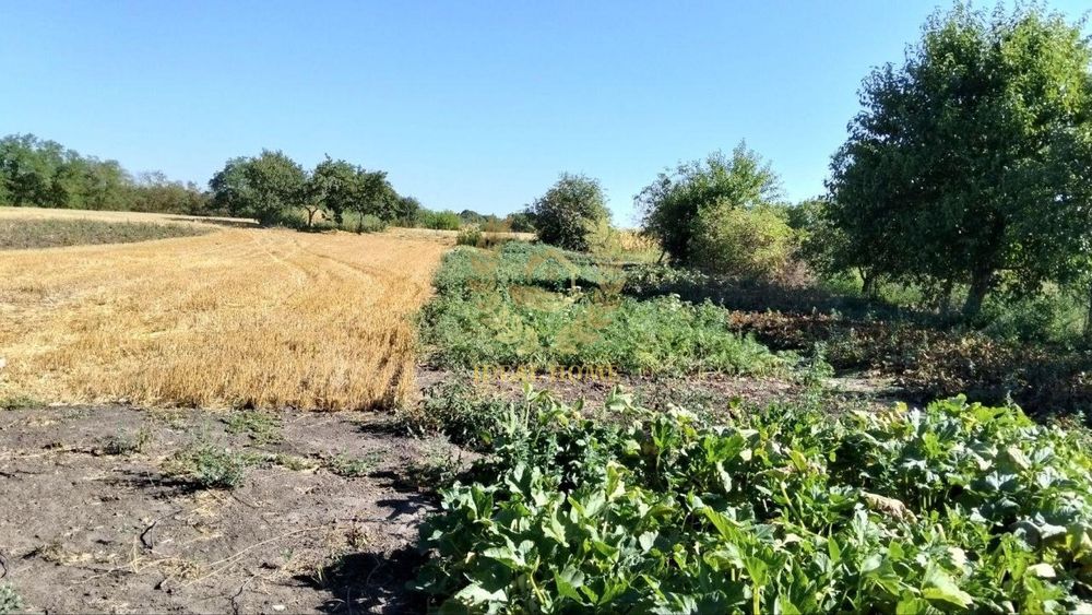 Продам будинок 2 кімн., 56.3 м², 25 соток, Мазепинці