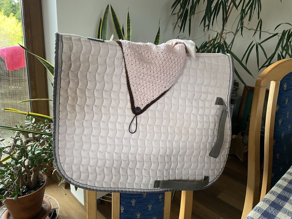 Sprzedam czaprak eskadron