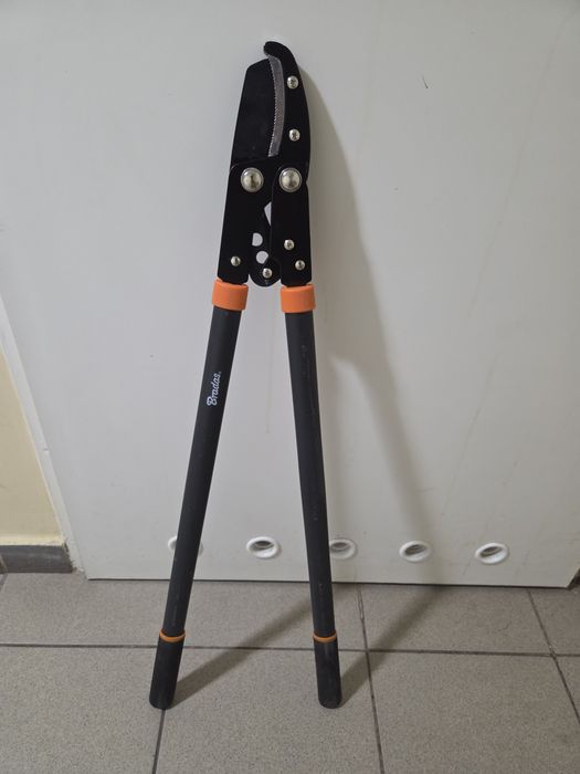 Sekator do gałęzi