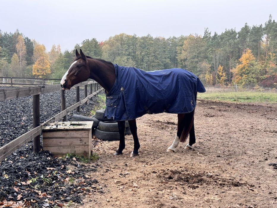 Derka padokowa z polarem, przedłużaną szyją Horze Avalanche r.145
