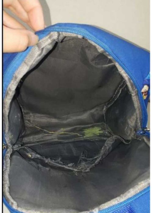 Дитячий шкільний дошкільний рюкзак Щенячий патруль