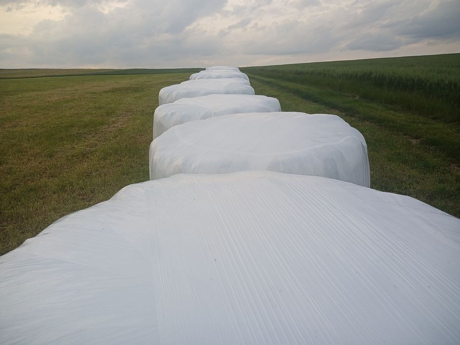 Sianokiszonka 130cm zeszłoroczna