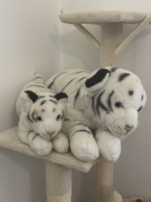 Peluxes tigre branco mae e filho