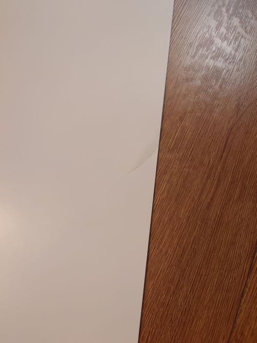 Tapeta magnetyczna, tablica magnetyczna, wzór kot