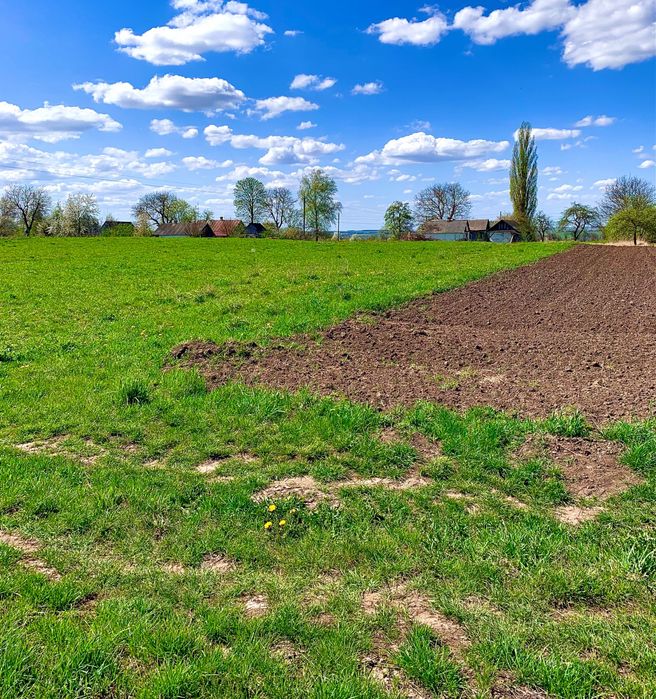 Земельна ділянка з будинком