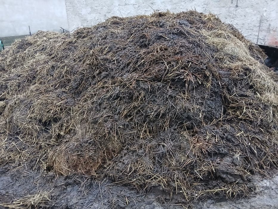 Oddam obornik od krow