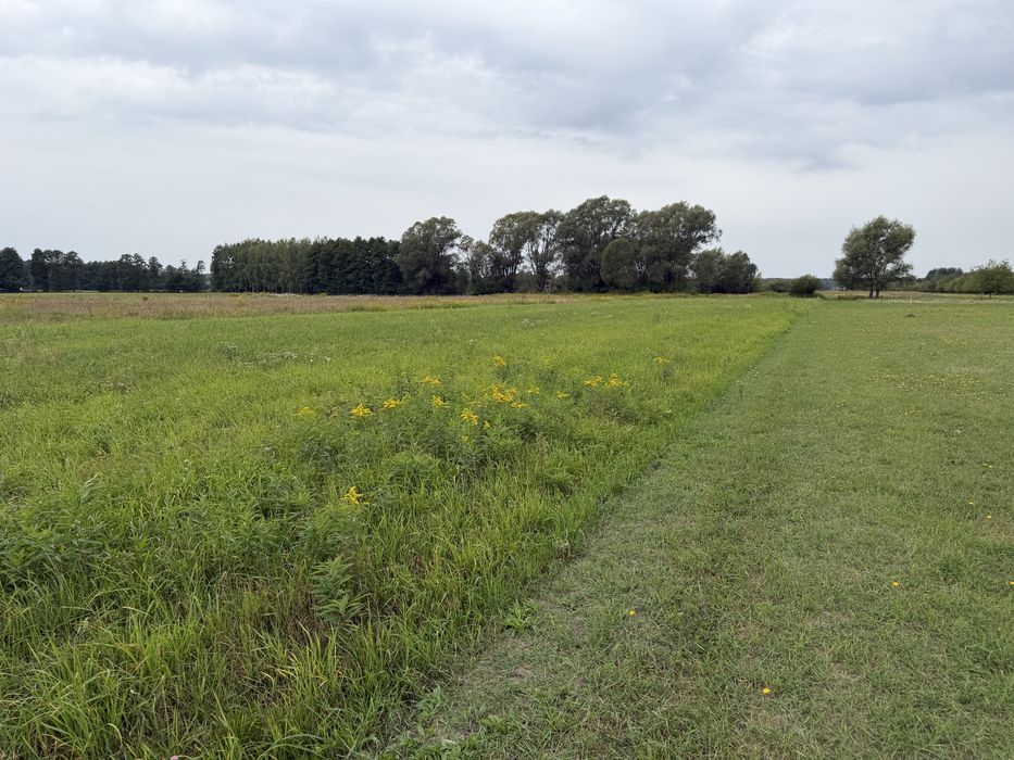 Działka 1000 m² wśród natury | Jezioro Białe 600 m - Więcej