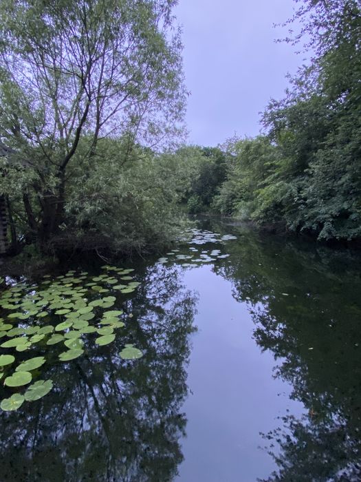 Продаж комплексу