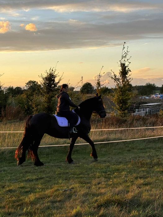 Jazdy konne w terenie