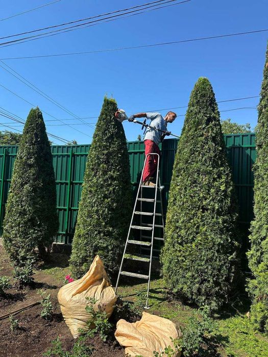 Уберем Ваш участок дачу территорию