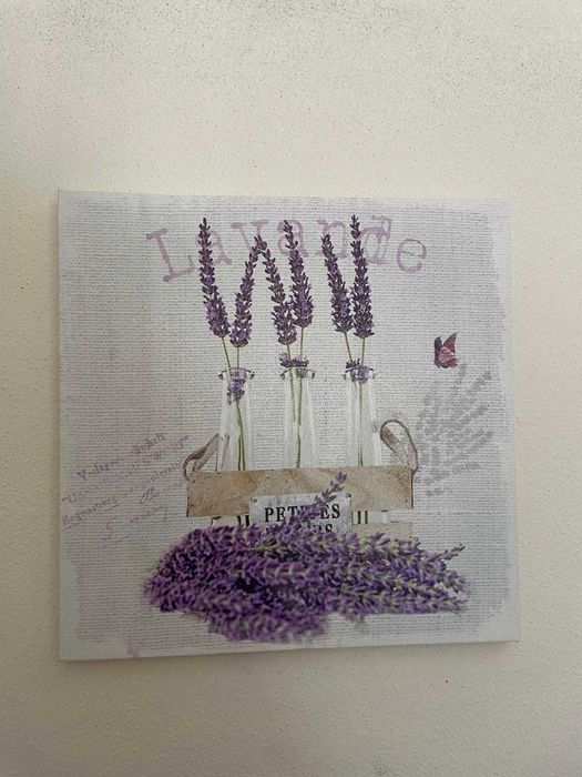 Quadros de Decoração - 15€ cada