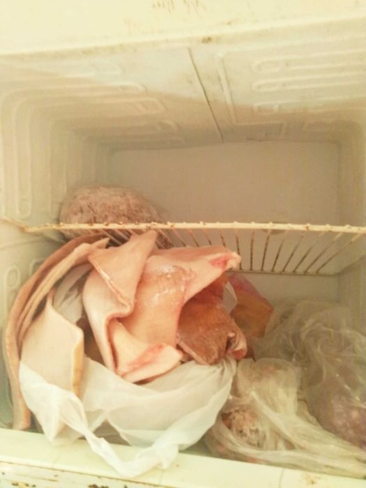 Холодильник с морозильной камерой (требуется заправка фреона)