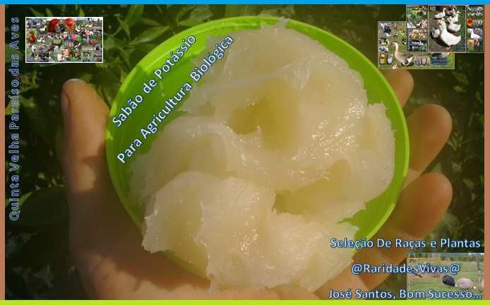 Sabão de Potássio Puro para Plantas (Agricultura Biológica 950)