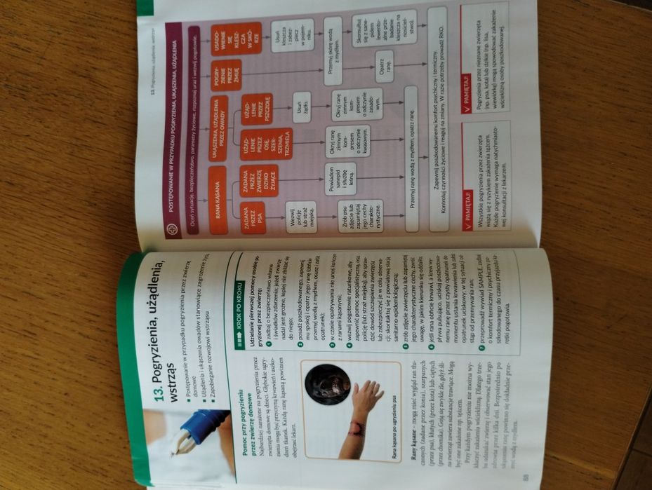 Edukacja dla bezpieczeństwa 1