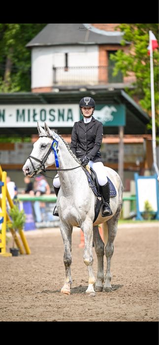 Bezpieczny i kochany wałach dla dzieci do sportu i rekreacji