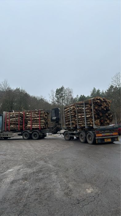 Drewno opałowe kominkowe  S2A s2aAP WDP - papierówka ,kłoda