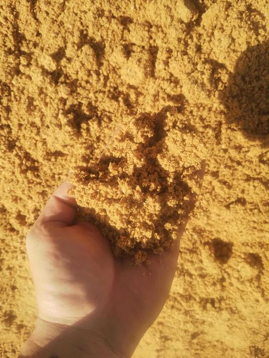 Młóto kukurydziane – 32% białka – dostawa do gospodarstwa