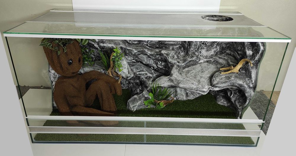 Terrarium dla agamy, legwana obrożnego, TW24G3, AquaWaves