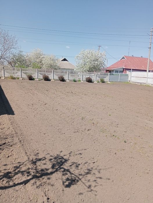 Продається земельна ділянка село Фурси ,центр села